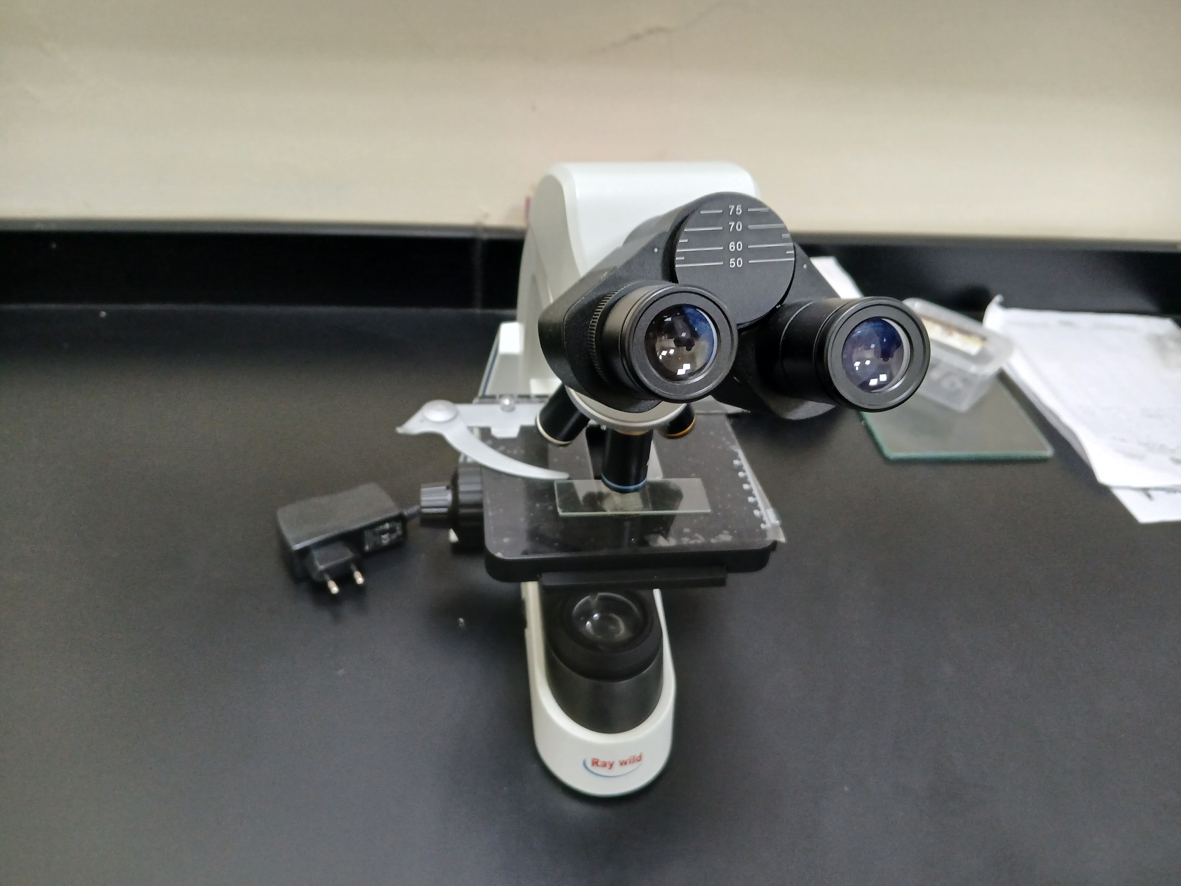 Optical microscope